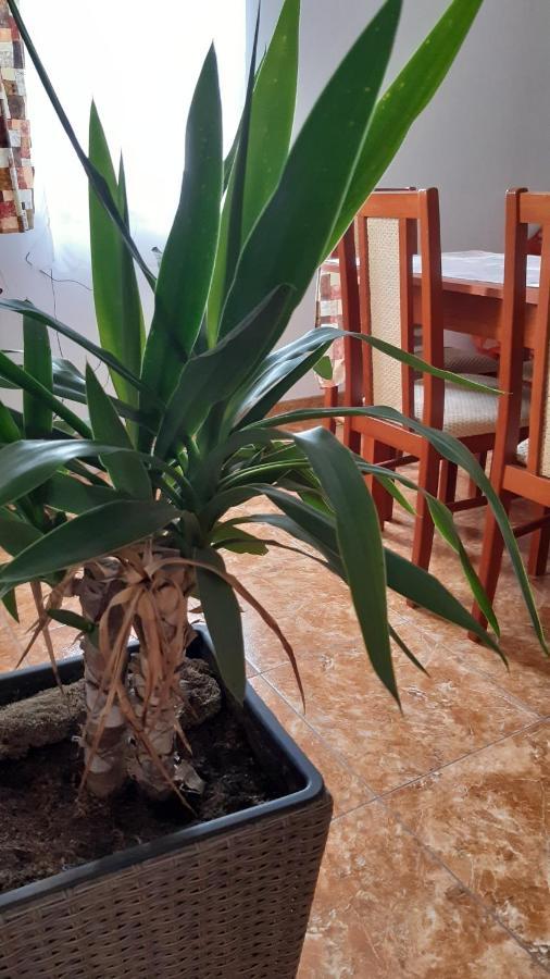 Bajusz Vendeghaz Hotel Tornyosnemeti Ngoại thất bức ảnh