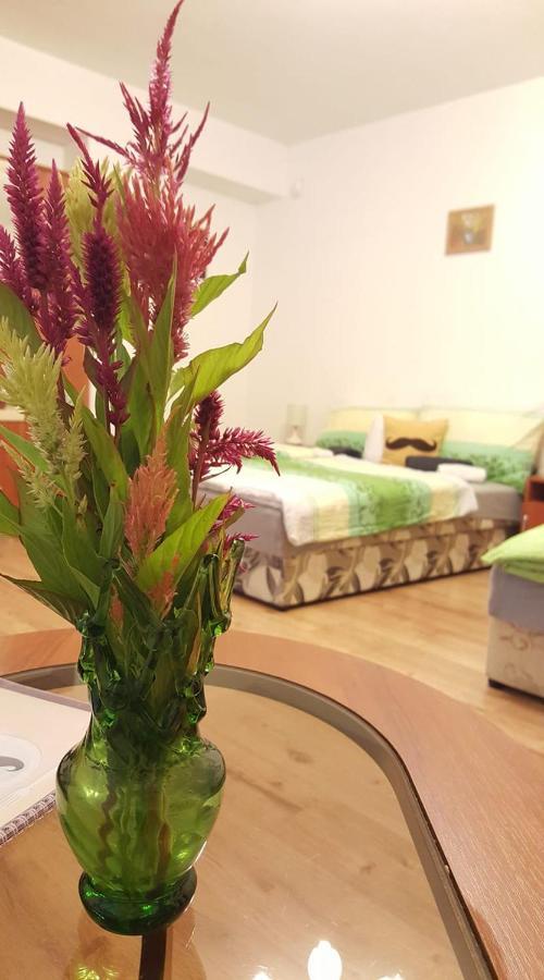 Bajusz Vendeghaz Hotel Tornyosnemeti Ngoại thất bức ảnh