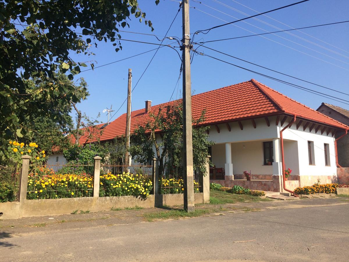 Bajusz Vendeghaz Hotel Tornyosnemeti Ngoại thất bức ảnh