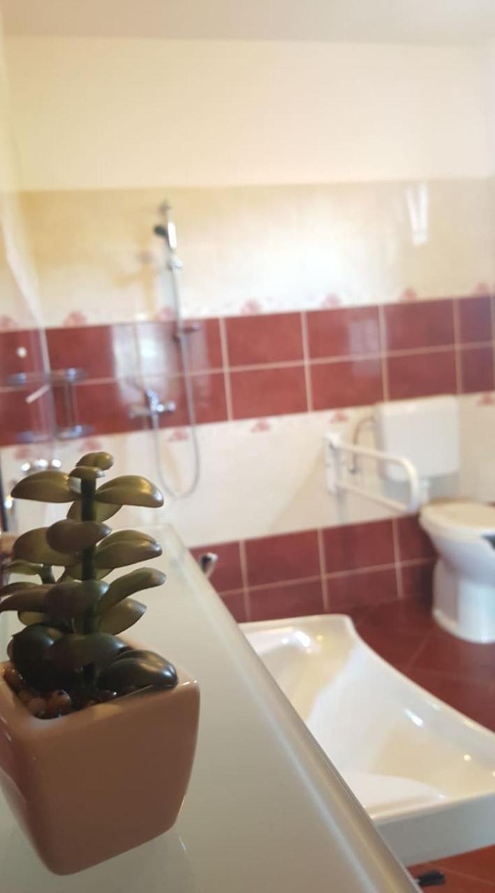 Bajusz Vendeghaz Hotel Tornyosnemeti Ngoại thất bức ảnh